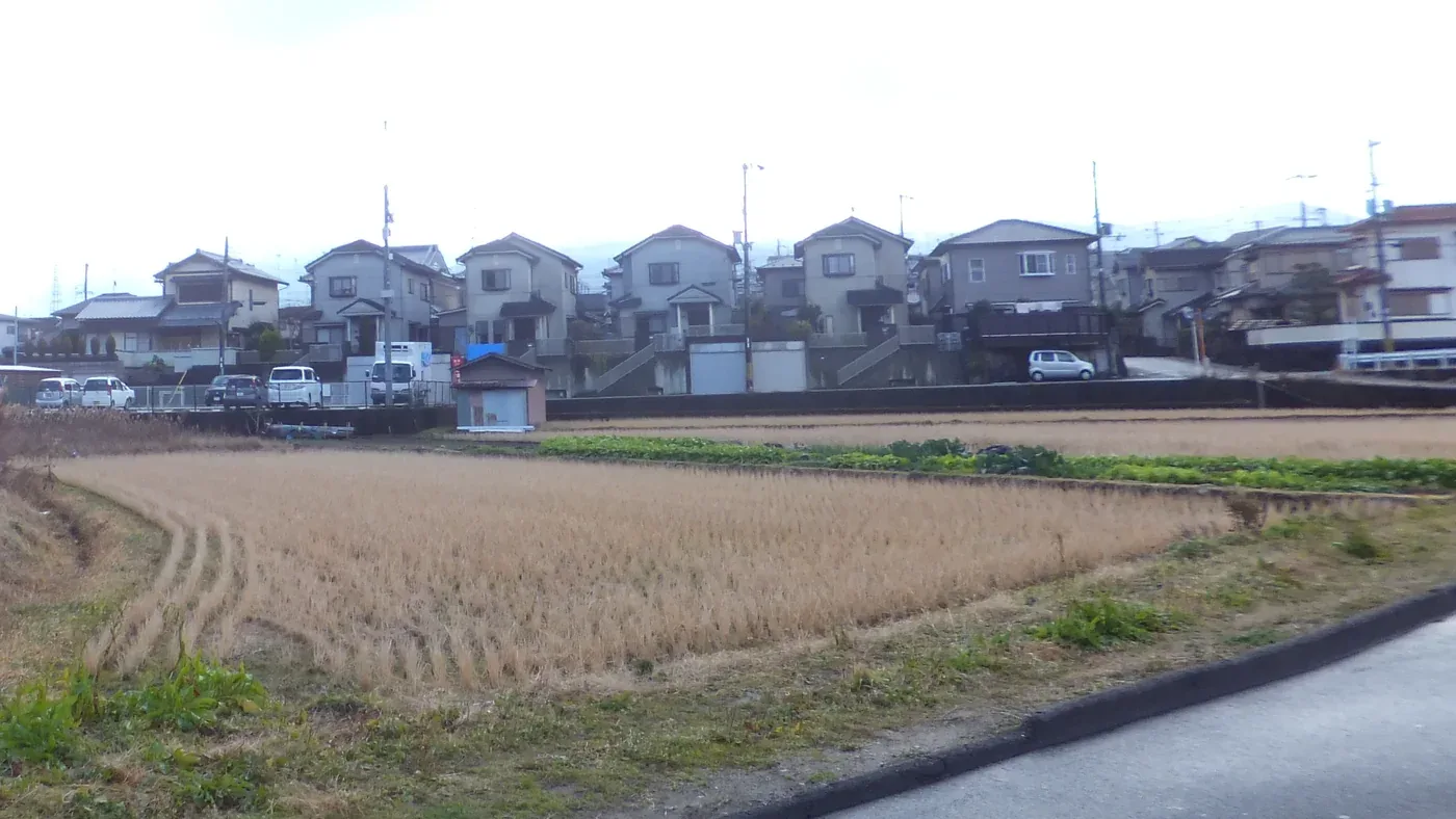 亀岡市の住宅地。手前に稲刈りあとの田んぼ、奥に灰色の屋根の2階建ての家が一列に並ぶ