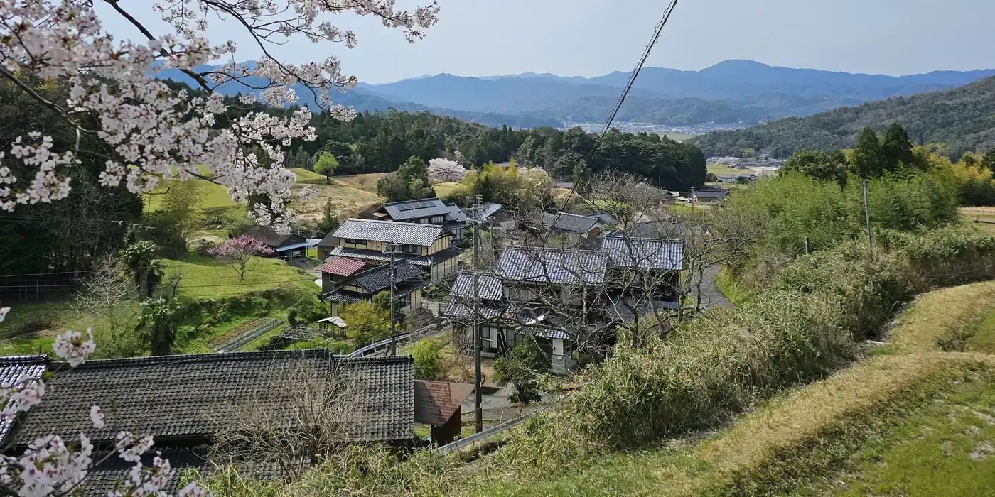 与謝野町温江の集落を高台から見た風景。手前に桜と瓦屋根、瓦や金属の屋根の家が並び、奥に平地と山並み